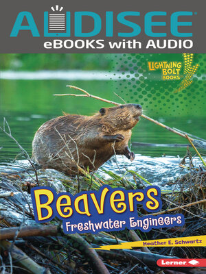 cover image of Beavers